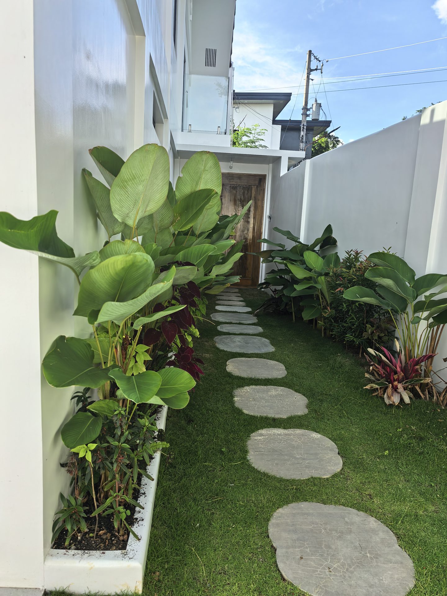 Tropical garden pathway